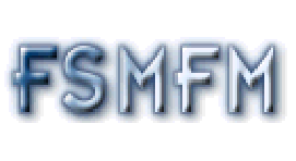 Federal, State, Municipal Finance Managers Benchmarking Association logo